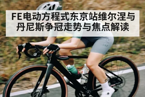 FE电动方程式东京站维尔涅与丹尼斯争冠走势与焦点解读